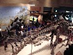 034_2009-0119-1138-24.jpg